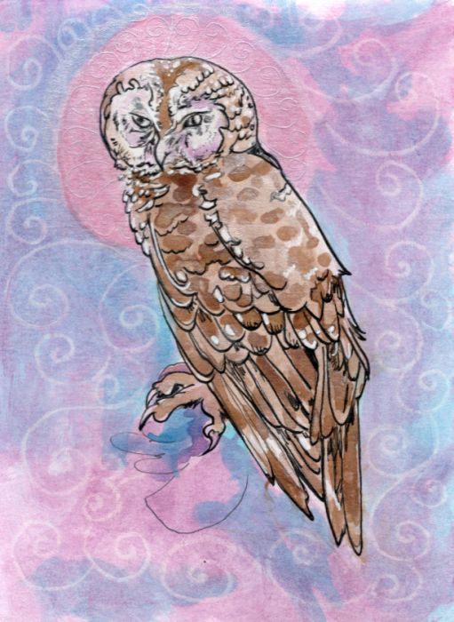 Owl Really? by Kathy Nutt